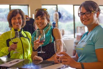 Santa Ynez Wine Country Tour from Santa Barbara
