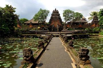 Private Tour: Ubud Attractions Including Monkey Forest and Art Market