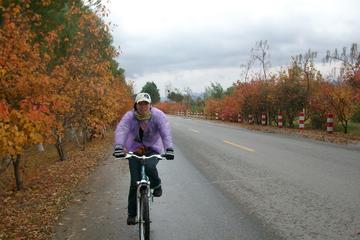All-Inclusive Private Biking and Hiking Tour at Huanghuacheng Great Wall