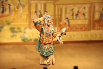 Beijing Royal Cuisine Dinner with Performance Experience and Nanluoguxiang Visit