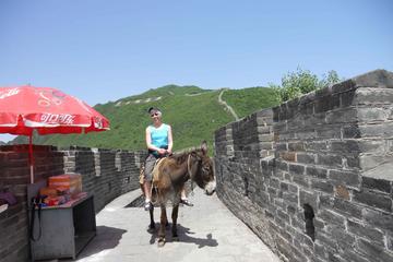 Mutianyu Great Wall and Summer Palace Private Day Trip with Lunch and Entrance fees