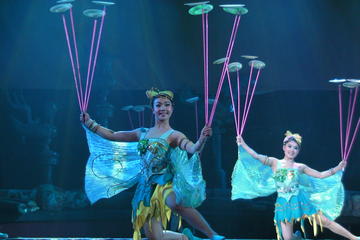 VIP Seated Acrobatics Show plus Ding Tai Fung Dinner Experience in Beijing