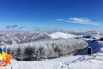 Zhangjiakou Wanlong Ski Resort Private Tour