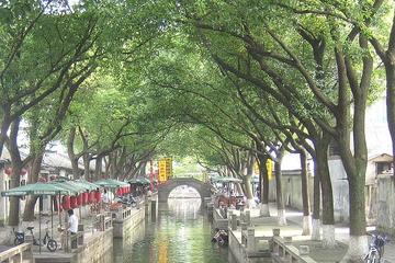 Private Day Trip to Tongli Water Town and Tuisi Garden from Shanghai