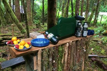 Alaskan Family Rainforest Adventure including 4x4 Buggies