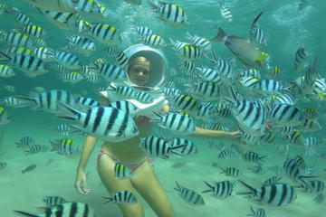 Bali Sea Walker and Smart Water Sport Package