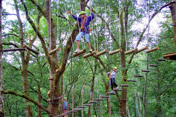 Full-Day Bali Treetop Adventure Park Visit with Jatiluwih Rice Terrace Tour