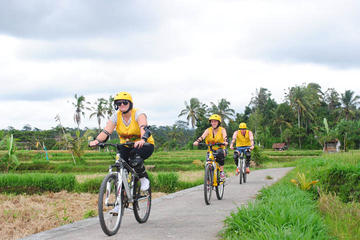 Private Tour: Ubud Cycling and Walking Adventure