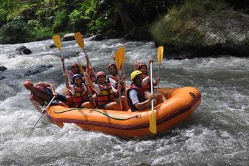 White Water Rafting Adventure in Ubud with optional Balinese Massage
