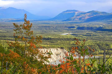 Denali National Park Walking Tour