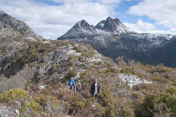 5-Day Tasmania West Coast Camping Tour: Hobart to Launceston Including Mount Field National Park, Tarkine and Cradle Mountain