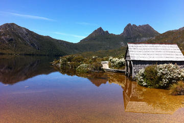 Cradle Mountain and Lake St Clair - Walking and Wildlife Tour with private camp