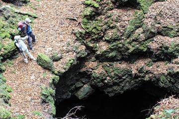 'Aokigahara Wanderer' Guided Hiking Tour