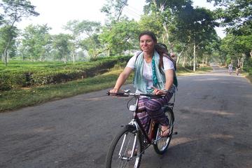 4-Day Srimangal Adventure Tour with Cycling Excursion