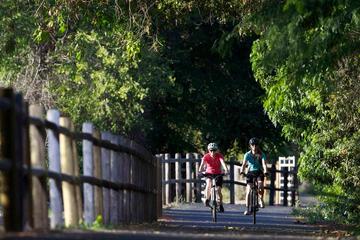 4-Hour Tour: Pune University Complex Cycling Private Tour