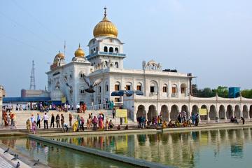 Private Day Tour of Delhi's Grand Temples