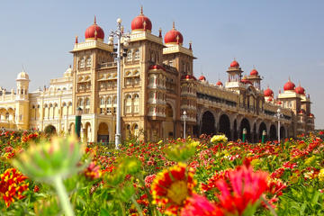 Private Mysore Tour with Visit to Srirangapatna