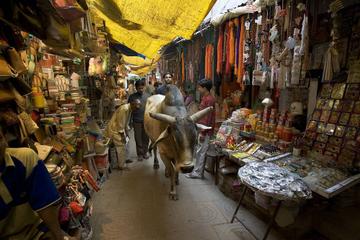 3-Hour Varanasi Walking Tour
