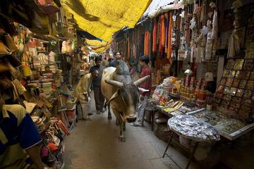 Varanasi Bengali Tola Walking Tour