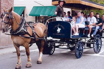 Day Trip Historic Carriage Tour of Charleston near Charleston, South Carolina 