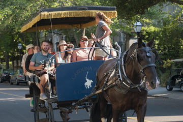 Day Trip Private Historic Carriage Tour of Charleston near Charleston, South Carolina 