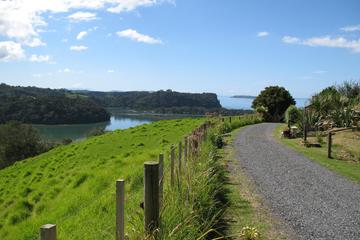 Matakana Coastal Getaway from Auckland