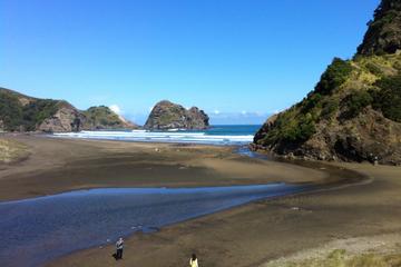 Piha and Karekare Rainforest Wine Tour from Auckland
