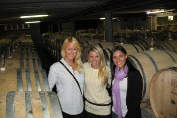 Wineries Honey and Black Sand Beaches from Auckland