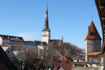 Private: 5-hour Best of Tallinn Tour with Marzipan Painting and Town Wall Visit
