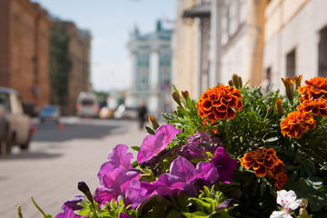 Private Neighborhood Orientation Tour Upon Arrival to St Petersburg