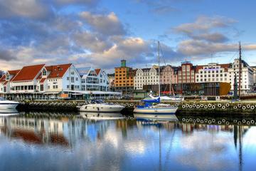 Private Shore Excursion: Best of Oslo Driving Tour