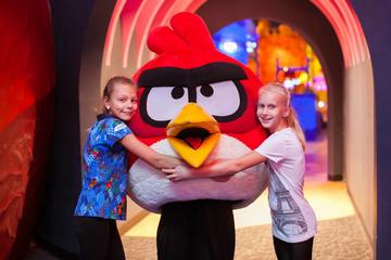 St.Petersburg Angry Birds Family Activity Park