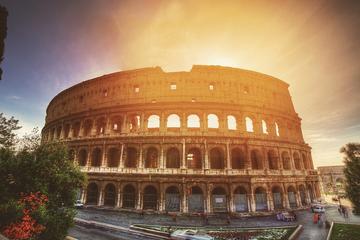 Colosseum Roman Forum and Palatine Hill Private Tour