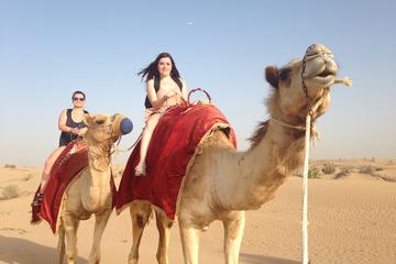 Dubai Overnight Safari Experience with Camel Ride