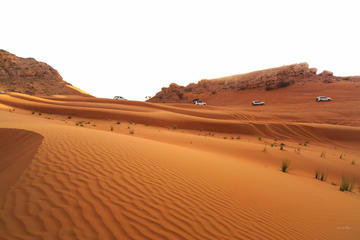 Morning Safari with Evening Rustar Dinner Cruise From Dubai