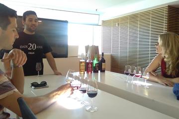 3-hour Port Wine Tasting Tour of the Douro Valley From Porto