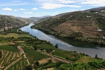 Douro Wine Cruise with lunch on board and two vineyards