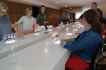 Porto Small Group Half Day City Tour including Wine Tasting