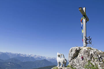 Hiking and Apartment Accommodation Package plus Half-Board in The Salzburg Alps