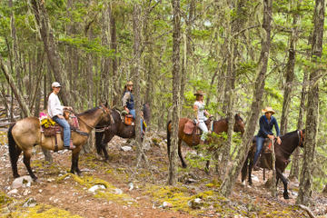 Half Day Guided Horseback Ride at Birkenhead Lake