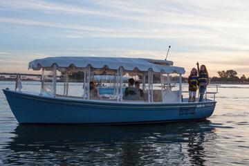 San Diego 3-Hour Electric Boat Rental
