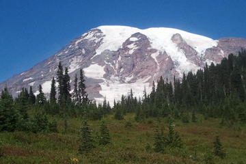 Private Mount Rainier Tour from Seattle