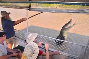 Jumping Crocodile Day Trip from Darwin