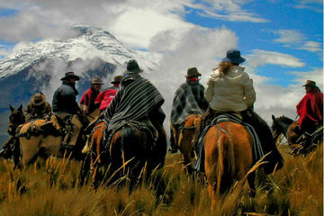 Full Day Horseback Riding in Mendoza