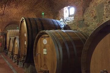 Private Tour: MONTEPULCIANO Wine Tasting Experience