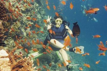 Dive Trip in Hurghada with 2 Dive Sites