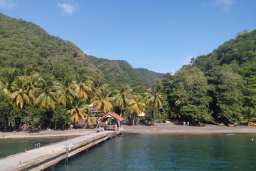 Martinique Splendor