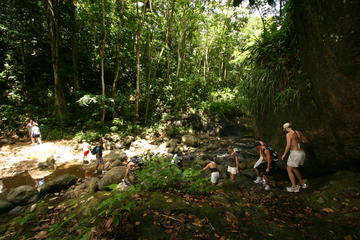 Rainforest Hike Adventure