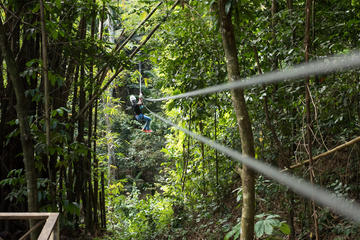 Treetop Canopy Adventure
