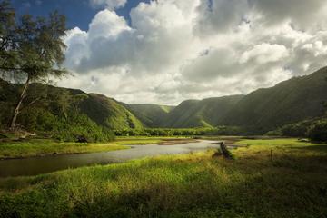 Small-Group Ultimate Kohala Adventure with 5-Star Lunch at Merriman's